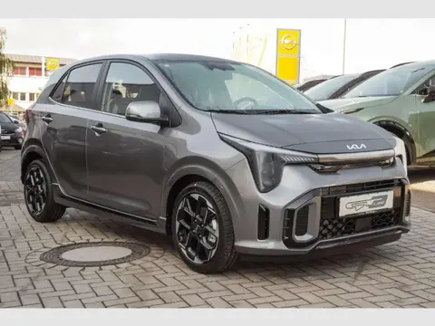 Used KIA PICANTO Petrol 2024 Ad 