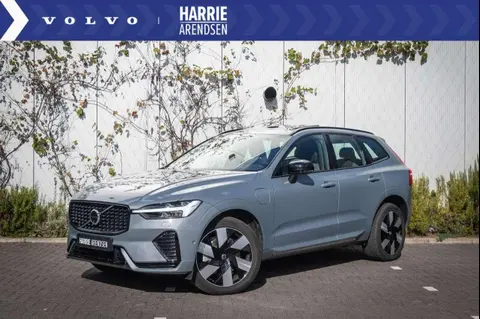 Used VOLVO XC60 Hybrid 2023 Ad 