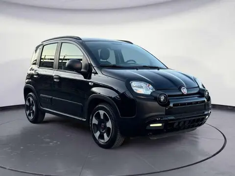 Annonce FIAT PANDA Hybride 2022 d'occasion 