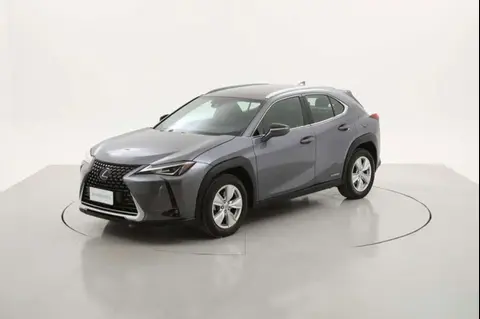 Used LEXUS UX Hybrid 2019 Ad 