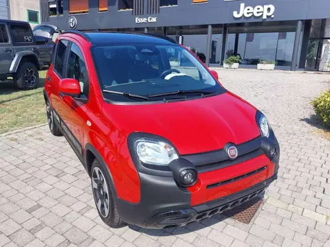 Used FIAT PANDA Hybrid 2024 Ad 