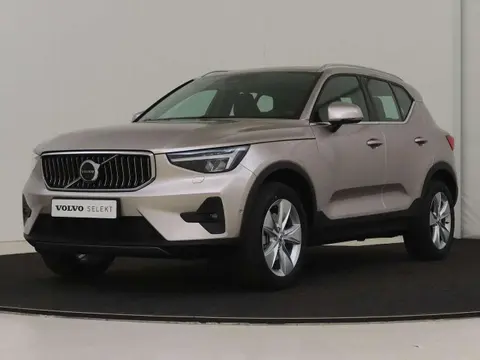 Used VOLVO XC40 Hybrid 2023 Ad 