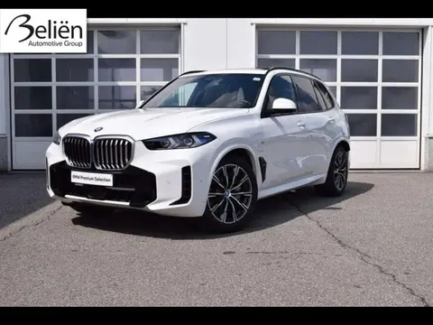 Used BMW X5 Electric 2023 Ad 