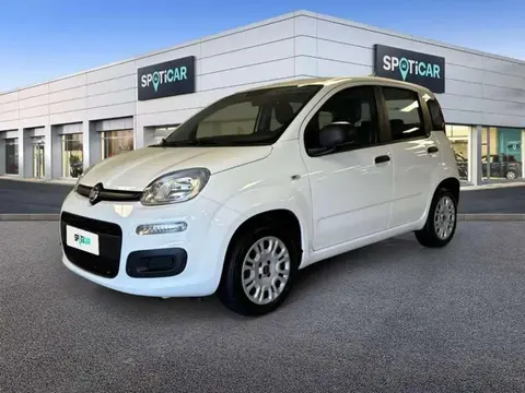 Annonce FIAT PANDA Essence 2020 d'occasion 