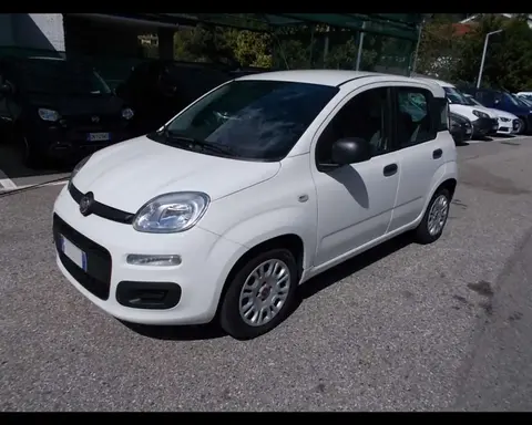 Annonce FIAT PANDA Hybride 2022 d'occasion 