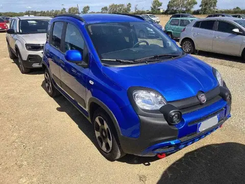 Annonce FIAT PANDA Essence 2024 d'occasion 