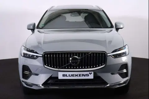 Used VOLVO XC60 Hybrid 2023 Ad 