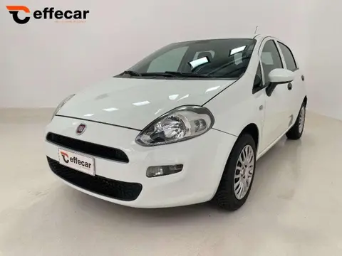 Annonce FIAT PUNTO Essence 2017 d'occasion 