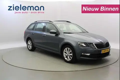 Annonce SKODA OCTAVIA Essence 2019 d'occasion 