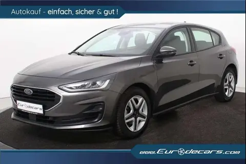 Annonce FORD FOCUS Essence 2022 d'occasion 