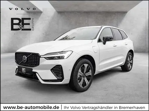 Annonce VOLVO XC60 Hybride 2024 d'occasion 