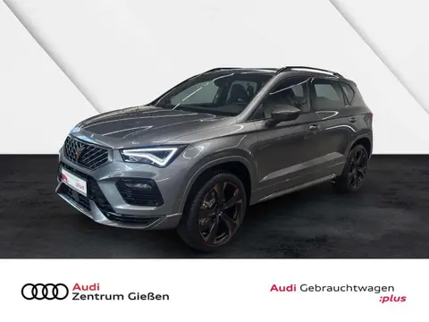 Annonce CUPRA ATECA Essence 2024 d'occasion 