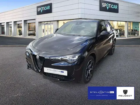 Annonce ALFA ROMEO STELVIO Essence 2024 d'occasion 