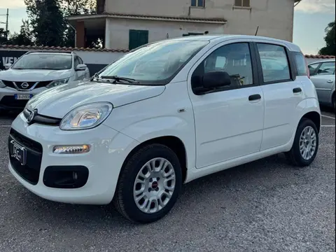 Used FIAT PANDA Petrol 2020 Ad 