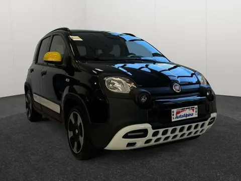 Annonce FIAT PANDA Hybride 2024 d'occasion 