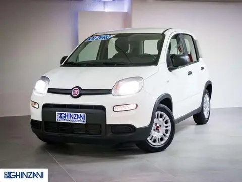 Used FIAT PANDA Hybrid 2023 Ad 