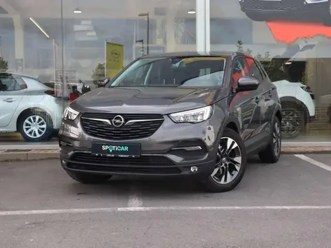 Used OPEL GRANDLAND Petrol 2021 Ad 