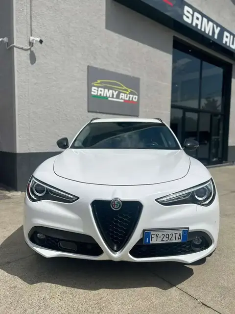 Used ALFA ROMEO STELVIO Diesel 2019 Ad 