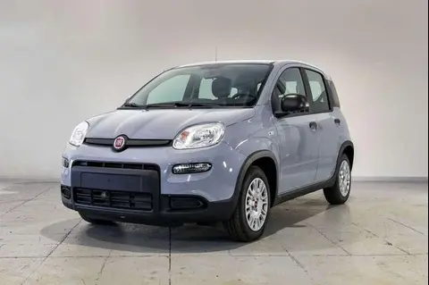 Used FIAT PANDA LPG 2023 Ad 