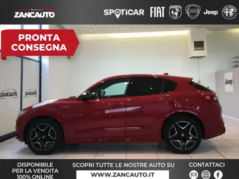 Annonce ALFA ROMEO STELVIO Essence 2022 d'occasion 