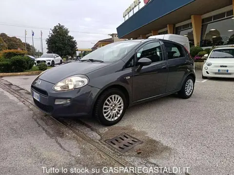 Used FIAT PUNTO Petrol 2017 Ad 