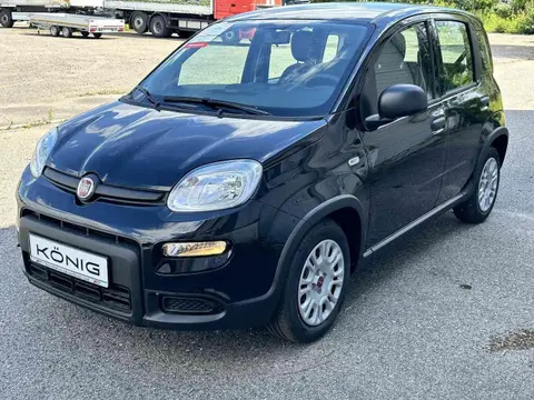 Annonce FIAT PANDA Essence 2024 d'occasion 