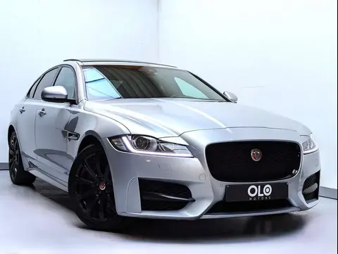 Used JAGUAR XF Diesel 2021 Ad 