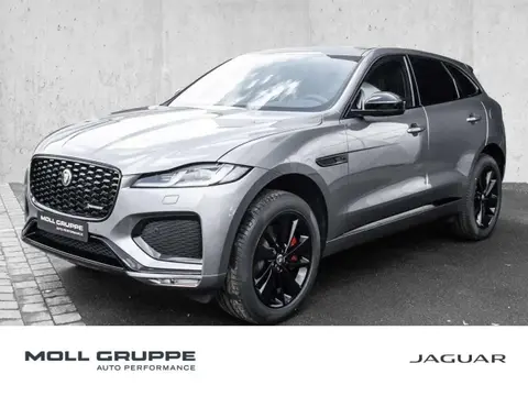 Used JAGUAR F-PACE Hybrid 2024 Ad 