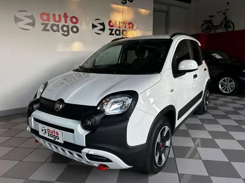 Annonce FIAT PANDA Hybride 2024 d'occasion 