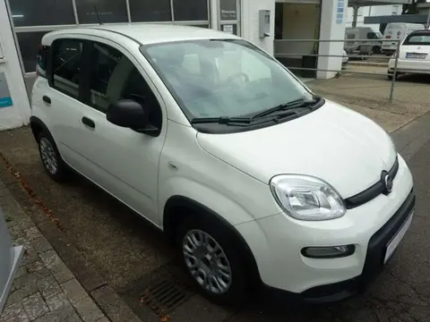 Used FIAT PANDA Hybrid 2024 Ad 