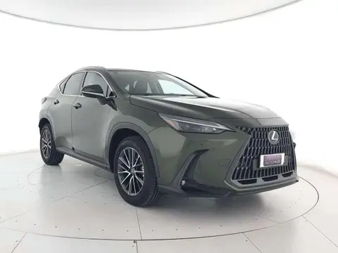 Used LEXUS NX Hybrid 2023 Ad 