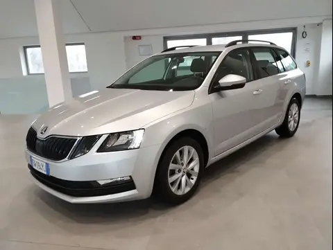 Used SKODA OCTAVIA Diesel 2019 Ad 