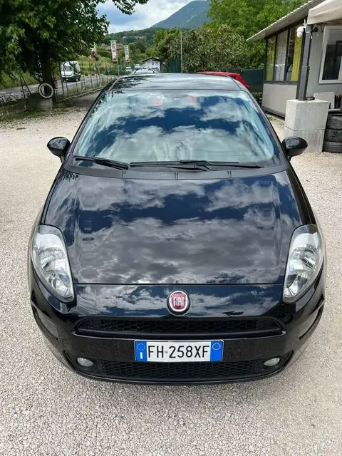 Annonce FIAT PUNTO GPL 2017 d'occasion 