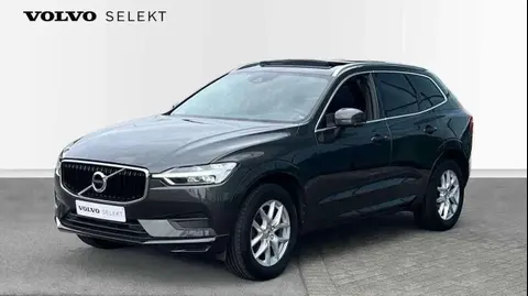 Annonce VOLVO XC60 Diesel 2020 d'occasion Belgique