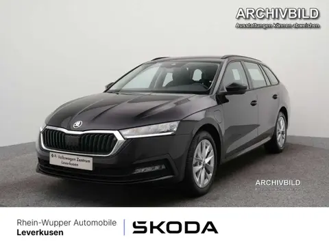 Used SKODA OCTAVIA Petrol 2024 Ad 