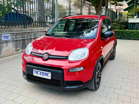 Used FIAT PANDA Hybrid 2022 Ad 