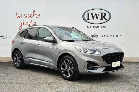 Annonce FORD KUGA Diesel 2021 d'occasion 