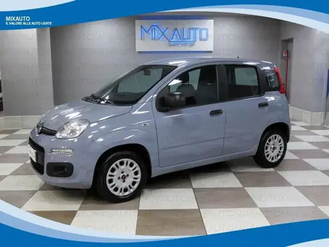 Used FIAT PANDA LPG 2019 Ad 