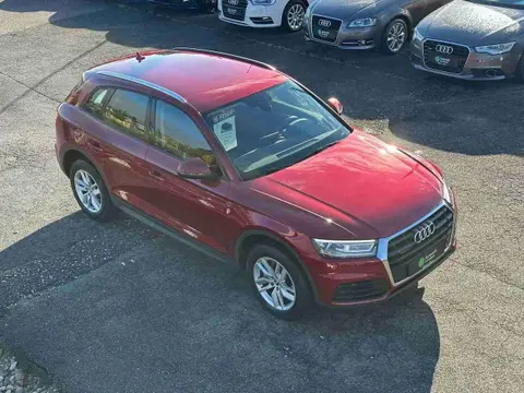 Used AUDI Q5 Diesel 2019 Ad 