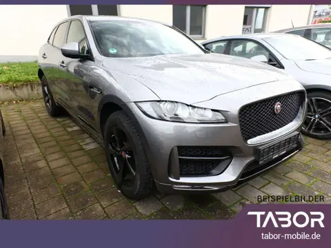 Used JAGUAR F-PACE Diesel 2019 Ad 