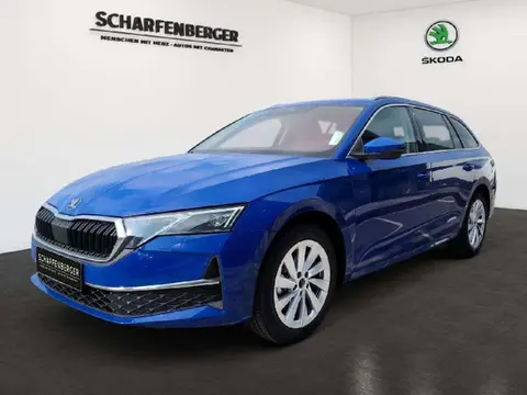 Annonce SKODA OCTAVIA Diesel 2024 d'occasion 