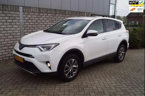 Used TOYOTA RAV4 Hybrid 2019 Ad 