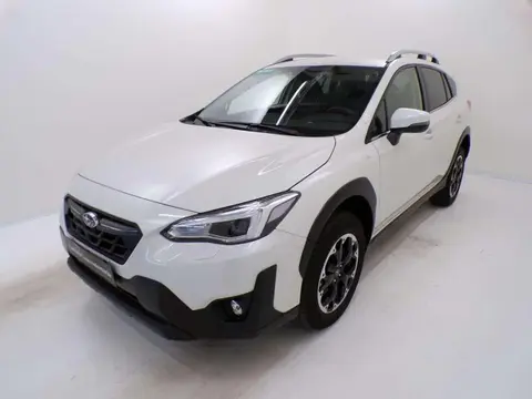 Used SUBARU XV Petrol 2023 Ad 