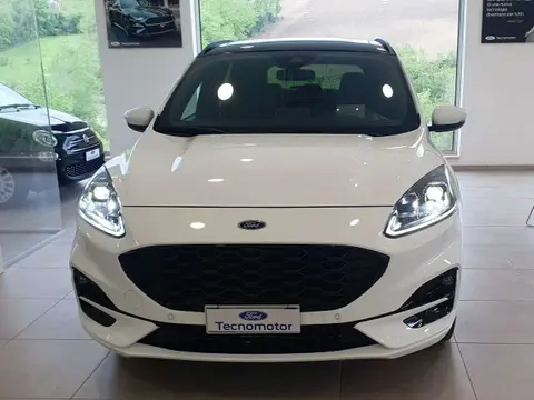 Used FORD KUGA Hybrid 2023 Ad 