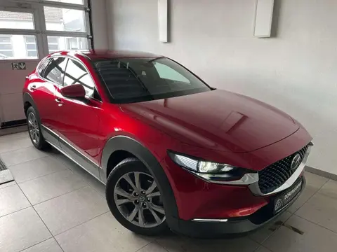 Annonce MAZDA CX-30 Essence 2020 d'occasion 