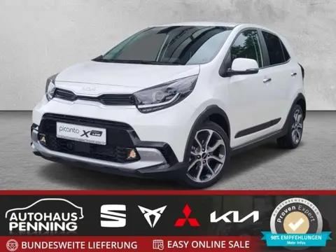 Annonce KIA PICANTO Essence 2024 d'occasion 