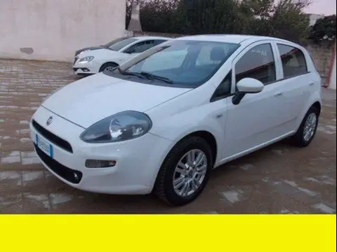 Annonce FIAT PUNTO Diesel 2015 d'occasion 