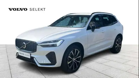 Annonce VOLVO XC60 Essence 2024 d'occasion Belgique