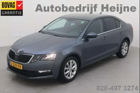 Annonce SKODA OCTAVIA Essence 2019 d'occasion 