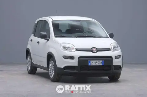 Annonce FIAT PANDA Hybride 2024 d'occasion 